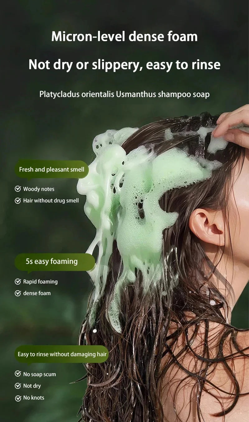 Platycladus Herbal Shampoo for Natural Hair Loss Prevention