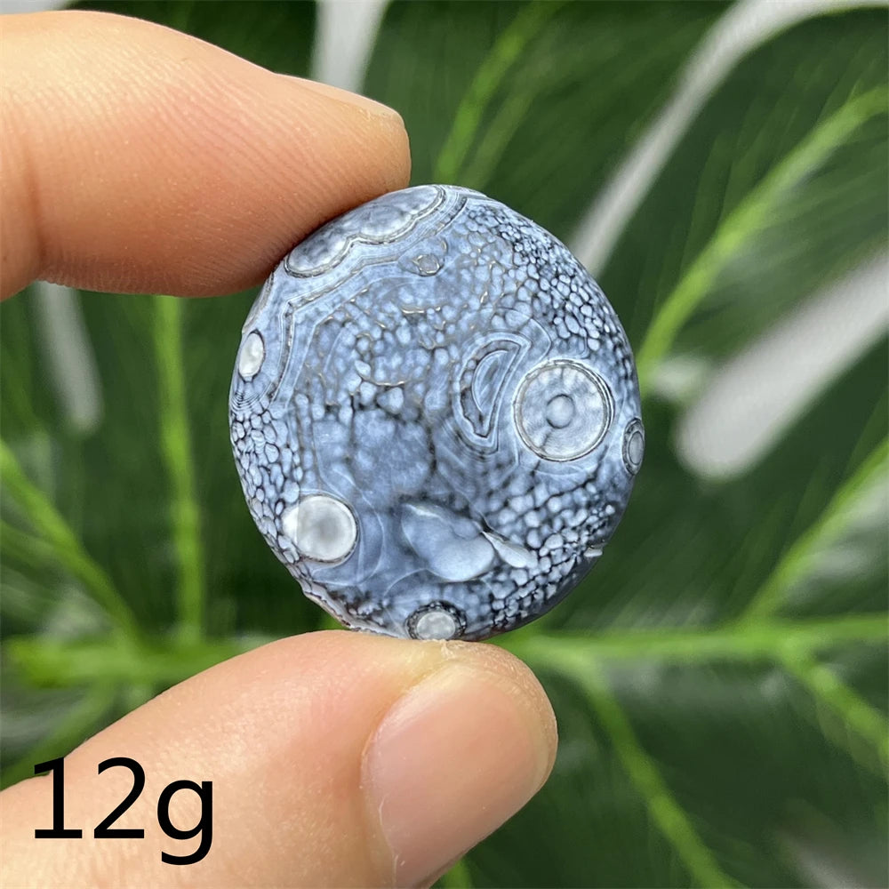 Natural Meteorite Stone for Energy Room Decoration