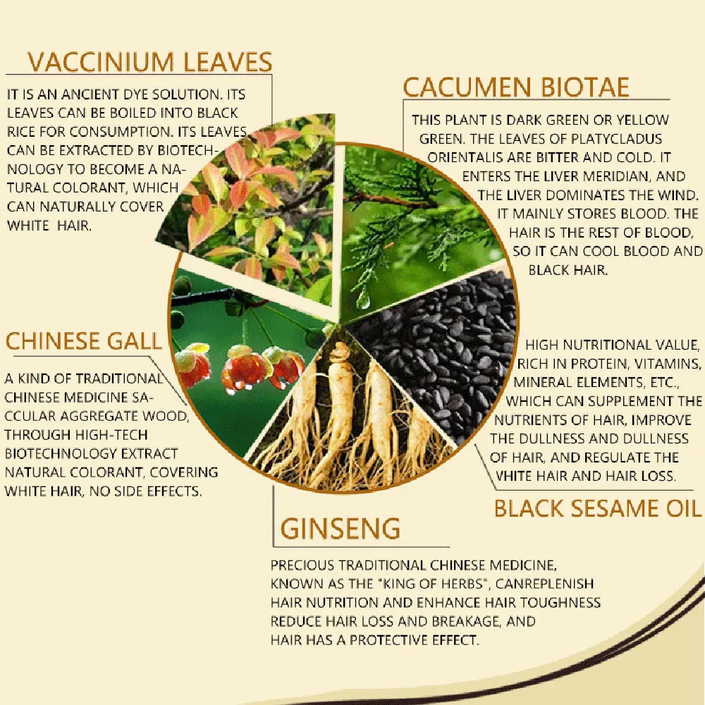 Dầu Gội Nhuộm Đen 3in1 Thảo Dược An Toàn Cho Tóc