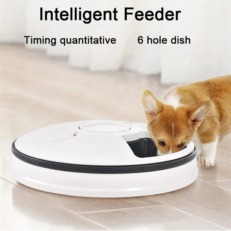 Smart Automatic Feeder for Dogs and Cats - 6 Feeders