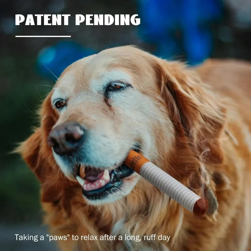 Đồ Chơi Chó Lớn Siêu Bền - Huấn Luyện & Gặm Nhai