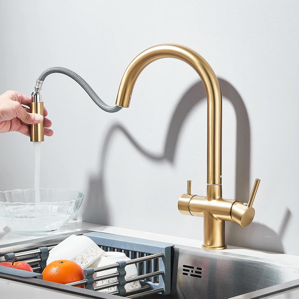 2-Mode Swivel Gold Brass Water Filter Kitchen Faucet