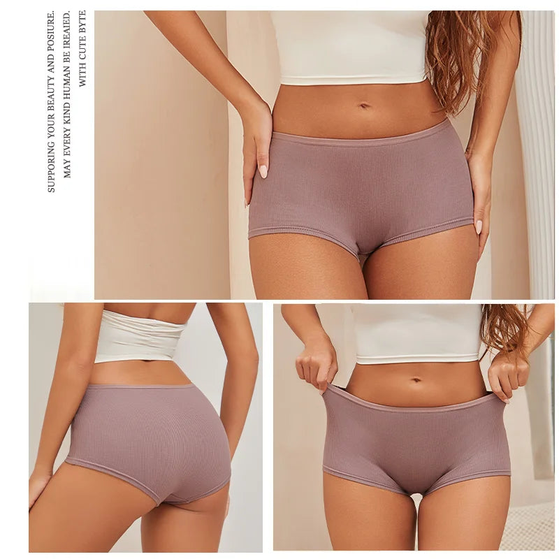 Women's Seamless Cotton Comfort Panties S-XL