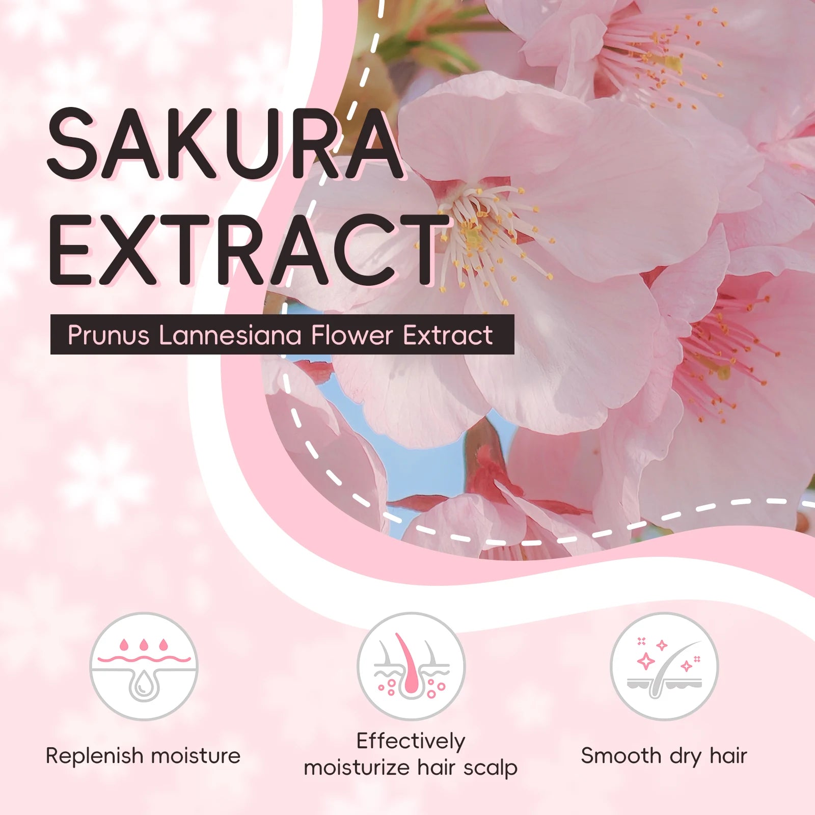 LAIKOU Sakura shampoo restores split ends and makes hair smooth