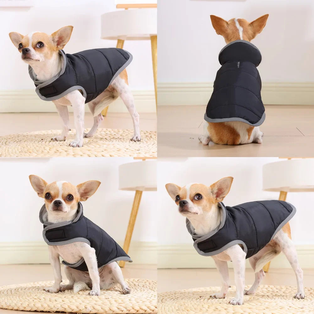 Waterproof Reflective Outdoor Jacket for Dogs 