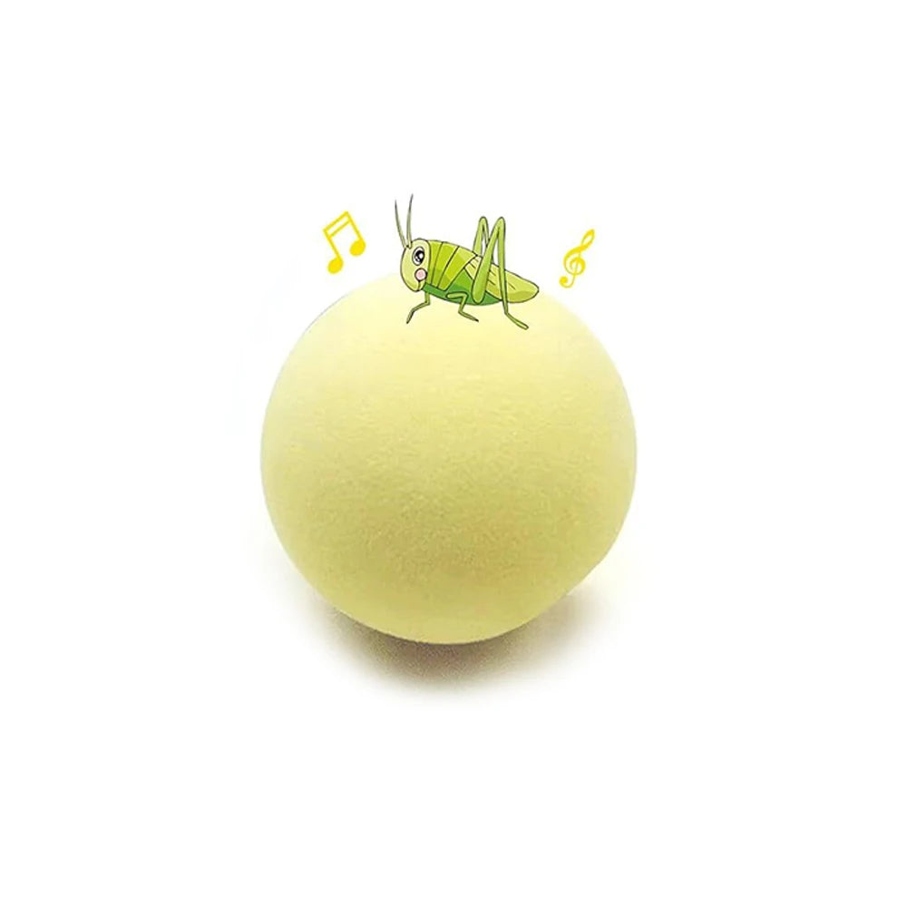 Bộ Đồ Chơi Huấn Luyện Thú Cưng Thông Minh Trong Nhà