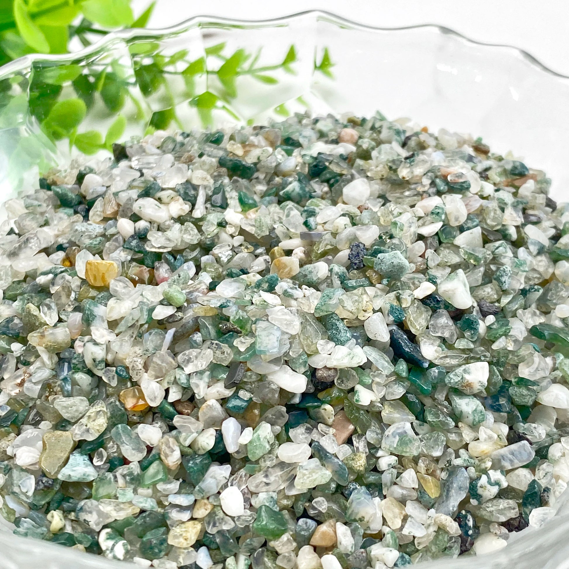 Đá Thạch Rêu Tự Nhiên Trang Trí Bể Cá 50g/100g - Daisan Mart
