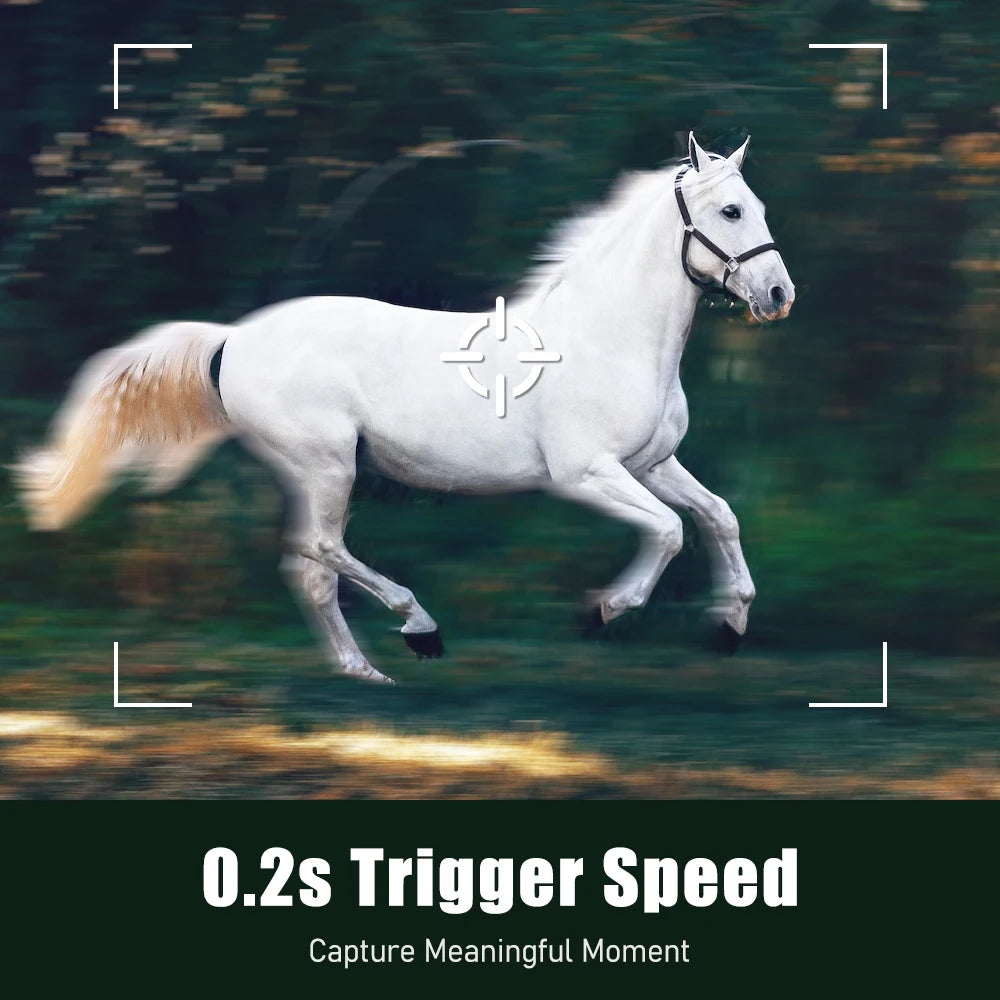 4G European Hunting Camera 4MP Motion Activated