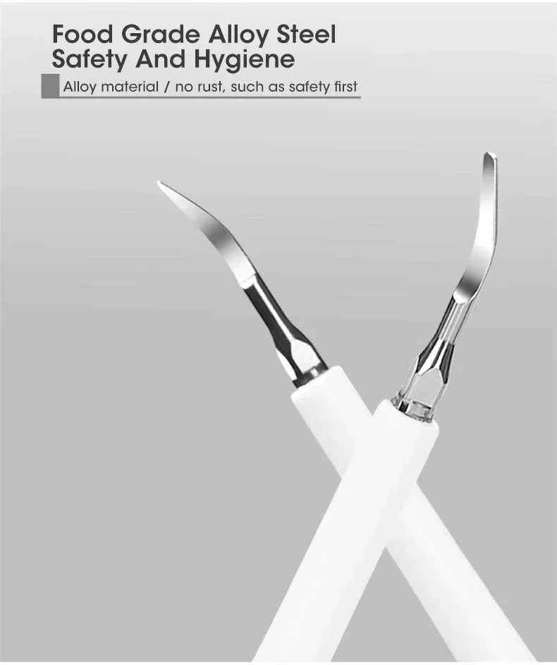 Bàn Chải Điện 3in1 Làm Sạch & Trắng Răng USB Sạc