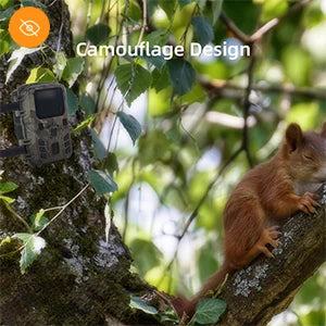 Camera Săn Bắn Mini 4K HD Chống Nước Quan Sát Đêm