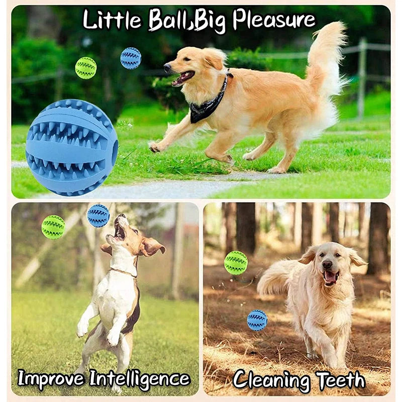 Interactive Play Ball for Dogs and Cats - Chewing &amp; Teeth Cleaning Tool