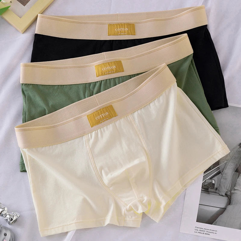 Quần Boxer Nam Cotton Thoáng Khí Thể Thao Gợi Cảm