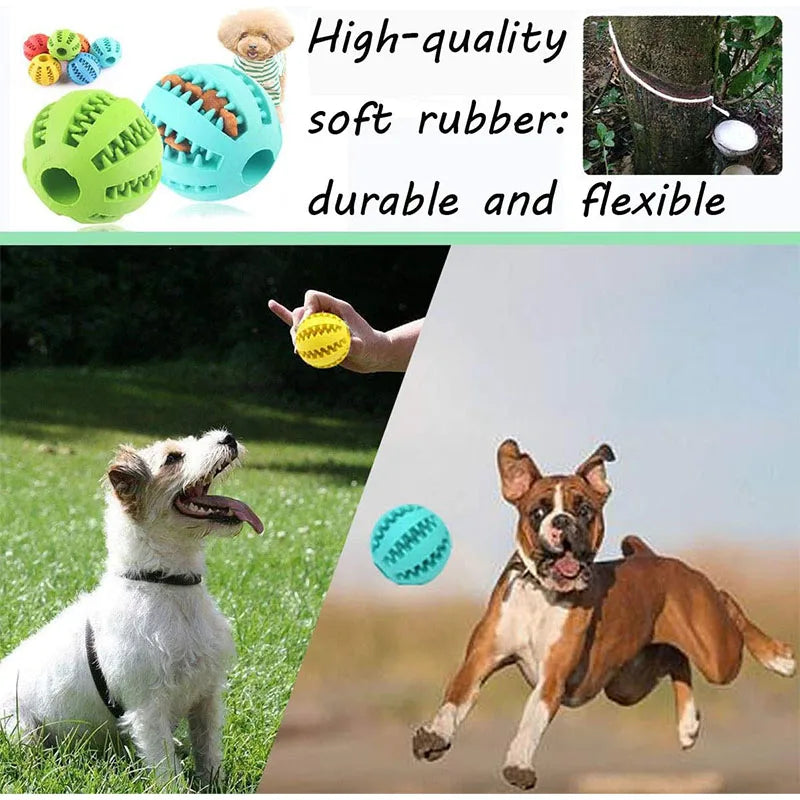 Interactive Play Ball for Dogs and Cats - Chewing &amp; Teeth Cleaning Tool