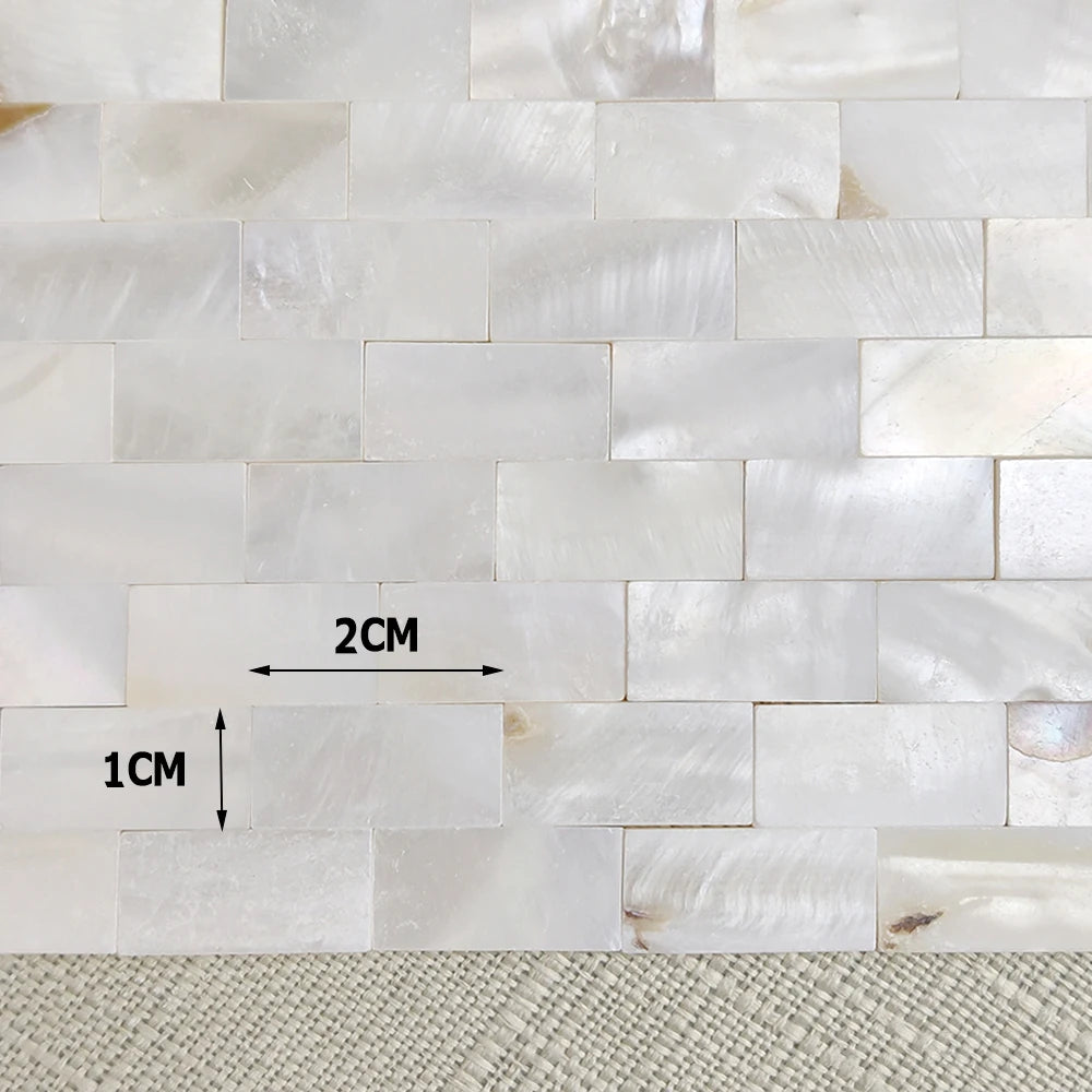 50 Viên Gạch Mosaic Vỏ Trai Trắng Hình Quạt DIY - Daisan Mart