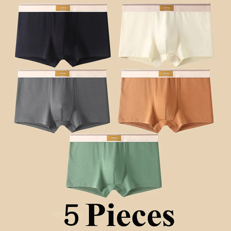 Quần Boxer Nam Cotton Thoáng Khí Thể Thao Gợi Cảm