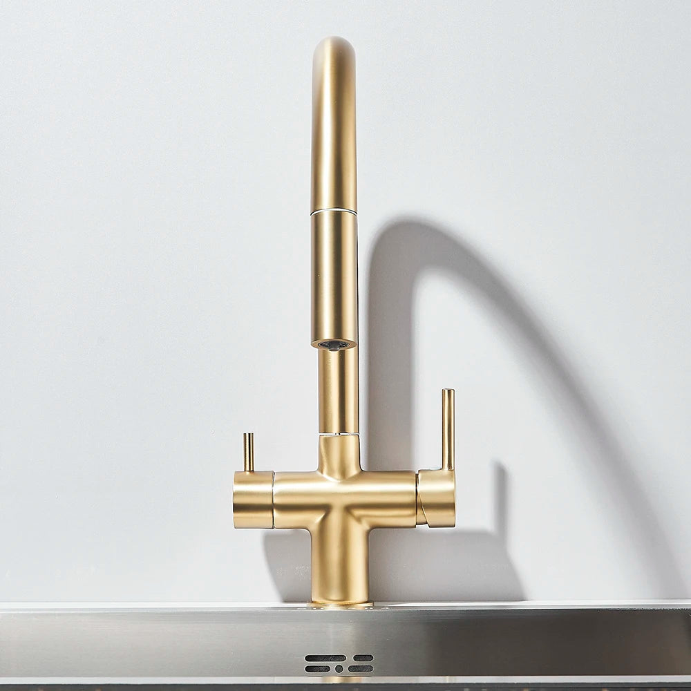 2-Mode Swivel Gold Brass Water Filter Kitchen Faucet