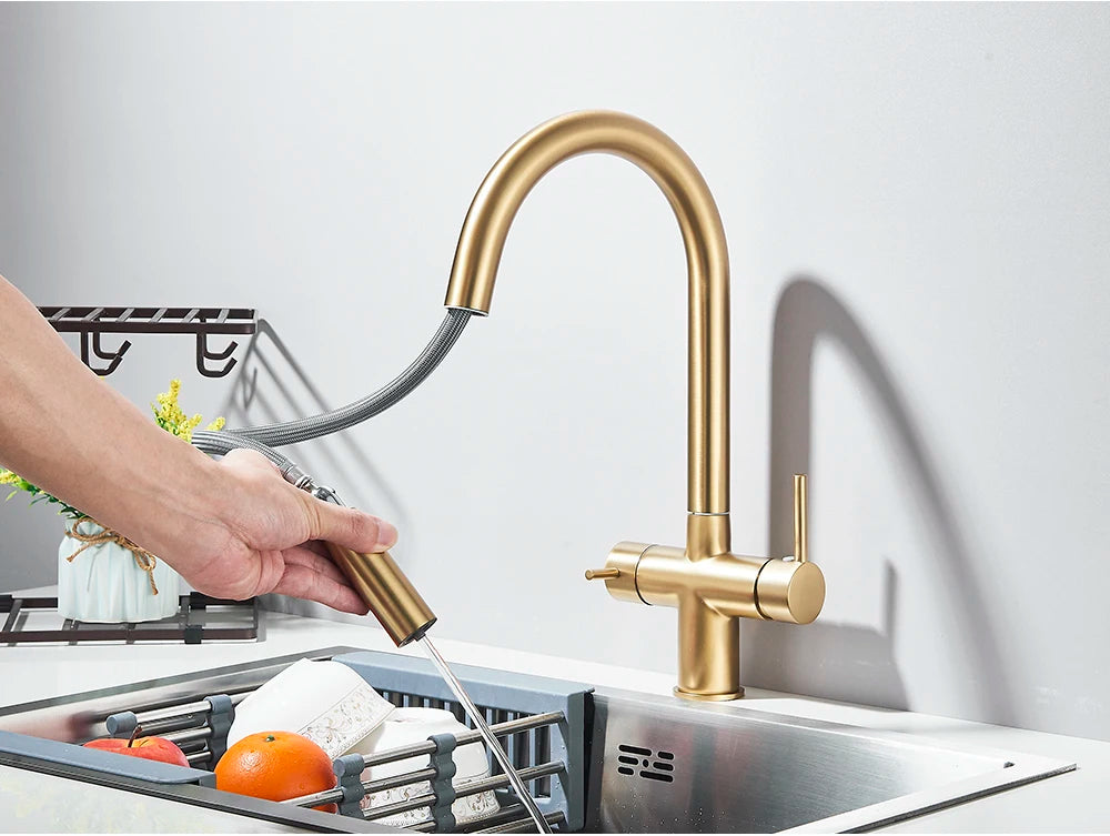 2-Mode Swivel Gold Brass Water Filter Kitchen Faucet