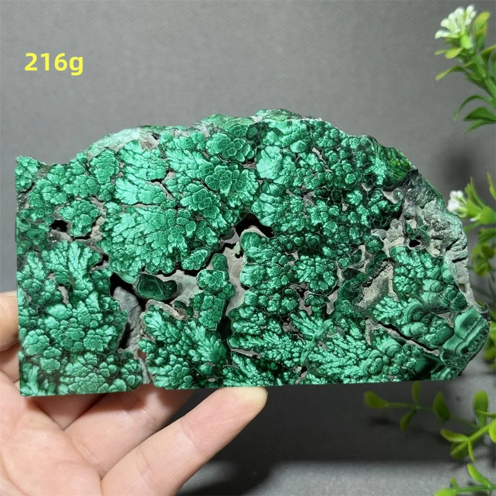 Thiên Nhiên Đá Malachite Sống Thiền Trang Trí 50cm - Daisan Mart