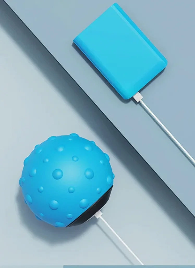 Bi Lăn Mát-xa Thể Thao Đa Năng Thư Giãn Cơ