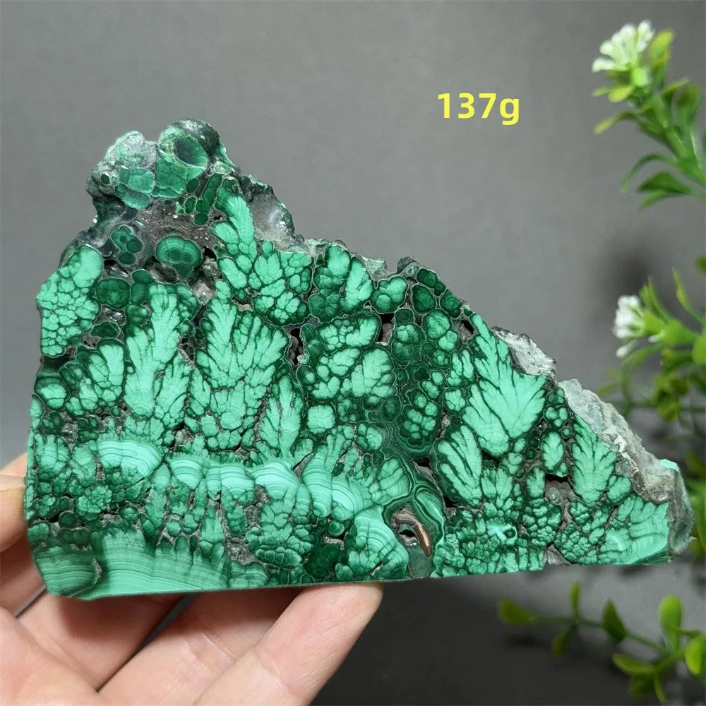 Thiên Nhiên Đá Malachite Sống Thiền Trang Trí 50cm - Daisan Mart