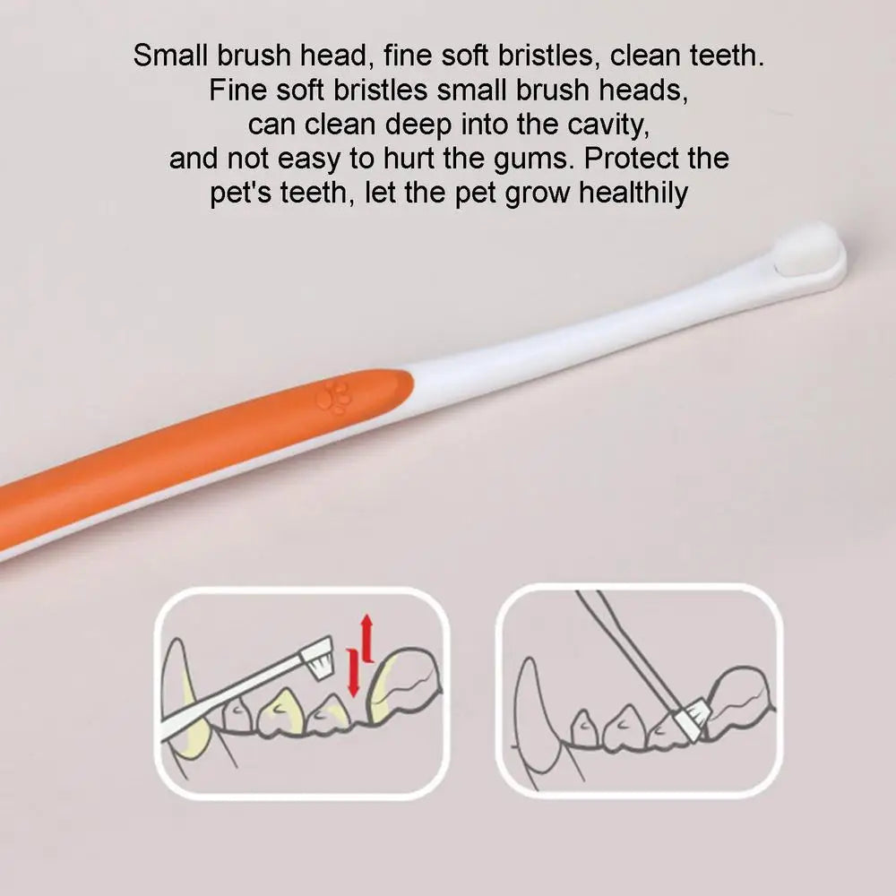Beef Cat Toothbrush and Toothpaste Set for Teeth Cleaning Vanilla Toothpaste Finger Toothbrush Tongue Cleaning Pet Accessories - Daisan Mart