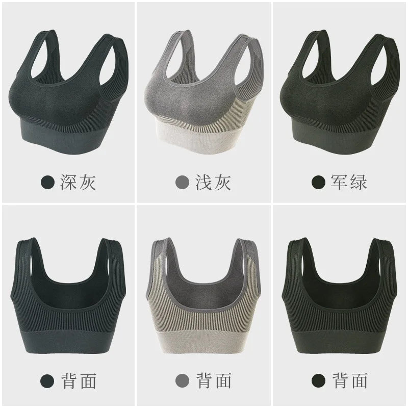 Women's Sports Bra Gym Yoga Support Padded Bra