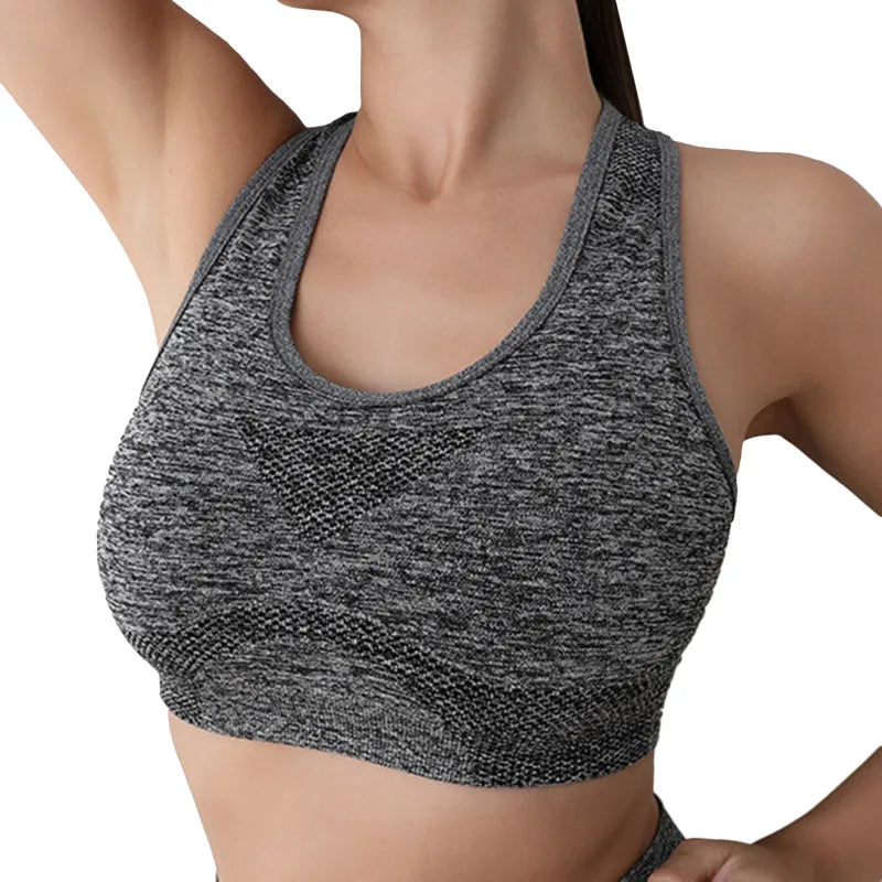 Bra Thể Thao Nữ Co Giãn Tập Gym Yoga Đệm Eo êm - Daisan Mart