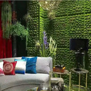 Ghế sofa với gối màu sắc sặc sỡ, tường rêu xanh, đèn bàn đen, cây xanh trang trí.