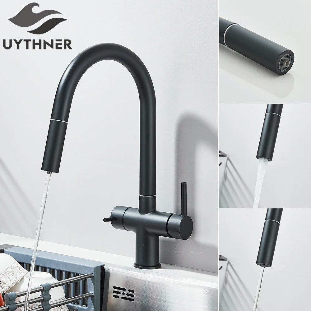 High-end Gold-Plated Kitchen Faucet with 2 Swivel Heads