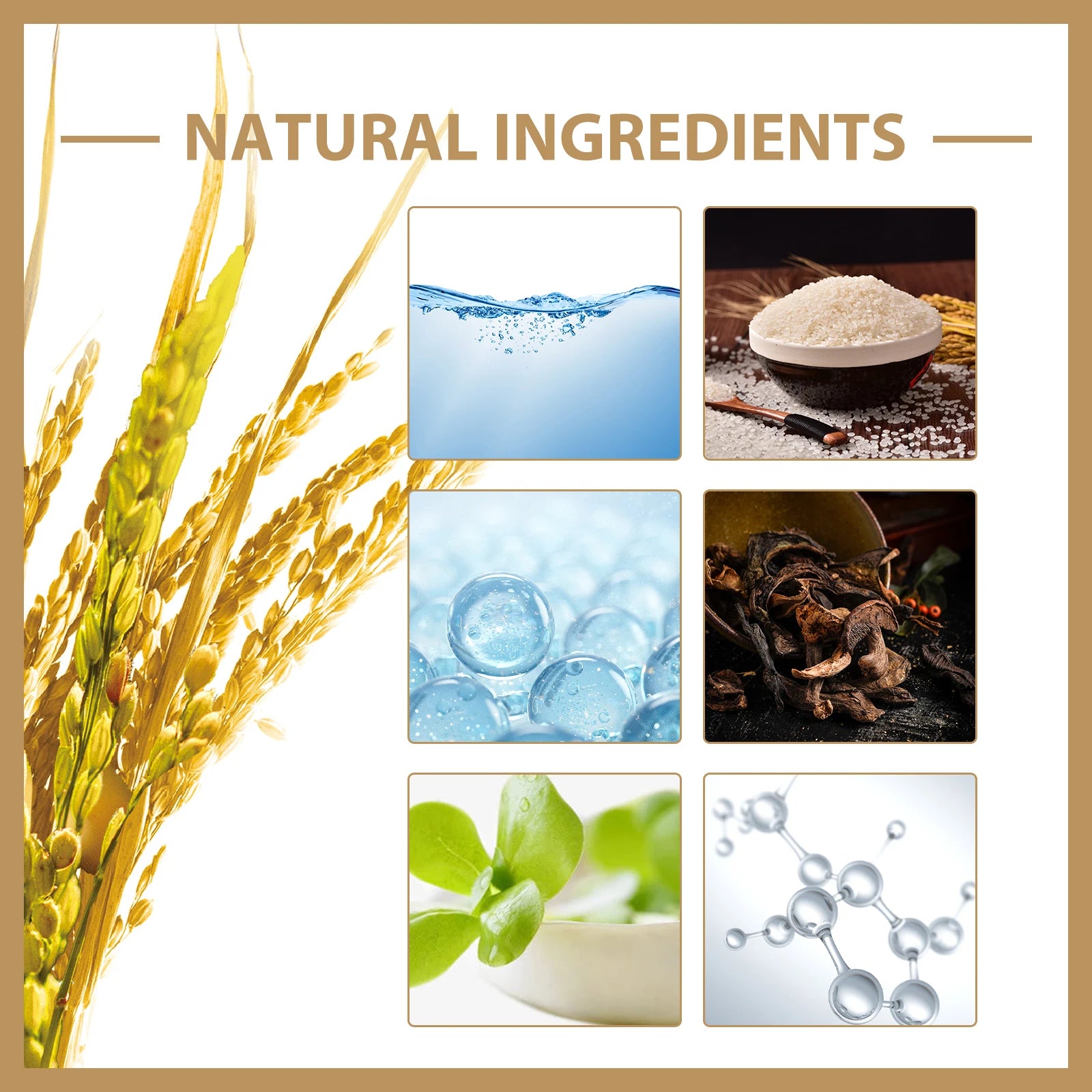 Nước Hoa Hồng Gạo 150ml Dưỡng Ẩm Sáng Da Firm+