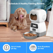 Chó nằm cạnh máy cho ăn tự động màu trắng, phía trên là dòng chữ "Schedule A Healthy Feeding Routine".