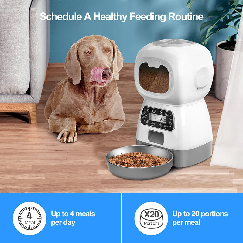 Chó nằm cạnh máy cho ăn tự động màu trắng, phía trên là dòng chữ "Schedule A Healthy Feeding Routine".