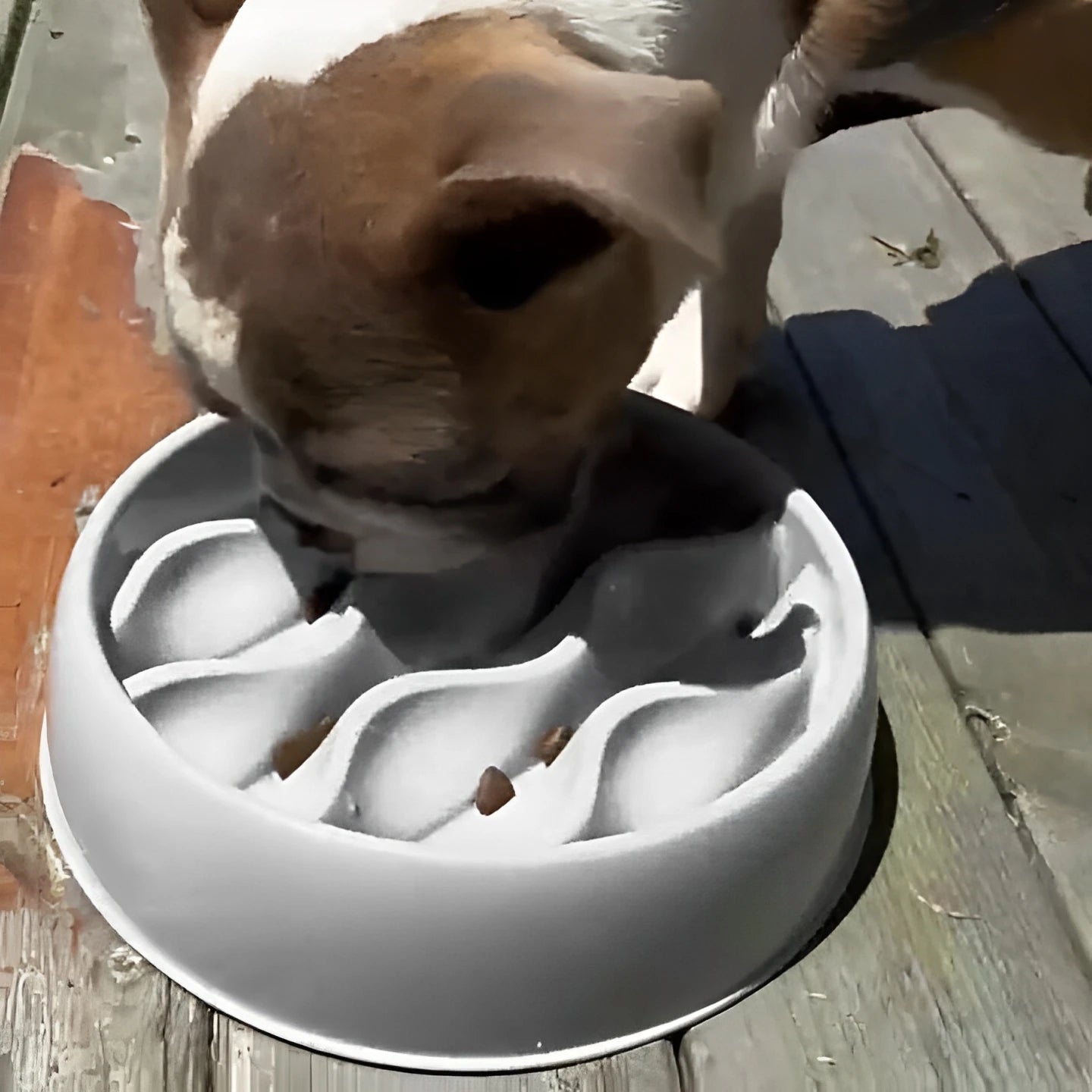 Pet Slow Feeding Bowl, Wavy Column Design, Dual-Purpose for Food & Water, Easy to Clean, for Cats & Dogs - Daisan Mart