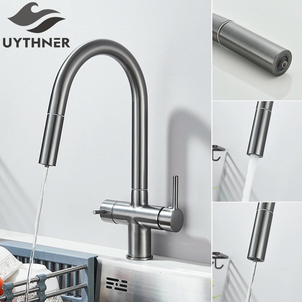 2-Mode Swivel Gold Brass Water Filter Kitchen Faucet