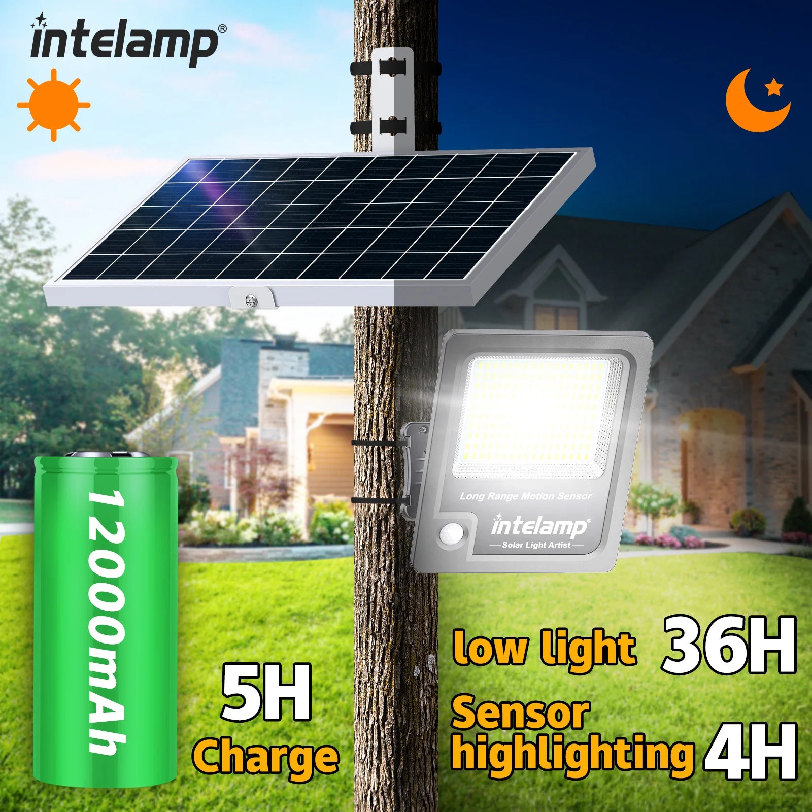 Tấm pin mặt trời và đèn cảm biến gắn trên cây, pin xanh 12000mAh, nền nhà ban đêm.