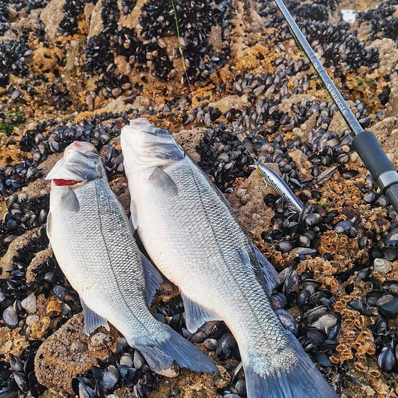 TSURINOYA 120F Ultra-long Casting Floating Minnow Saltwater Fishing Lure STINGER 120mm 19g Range 30-100cm Artificial Hard Baits