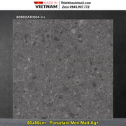 Dong Tam 80x80 Tiles 8080BARI004-H+