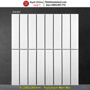 Ceramic Mosaic Tile DS301