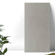 300x600mm Matt stone tile 3601