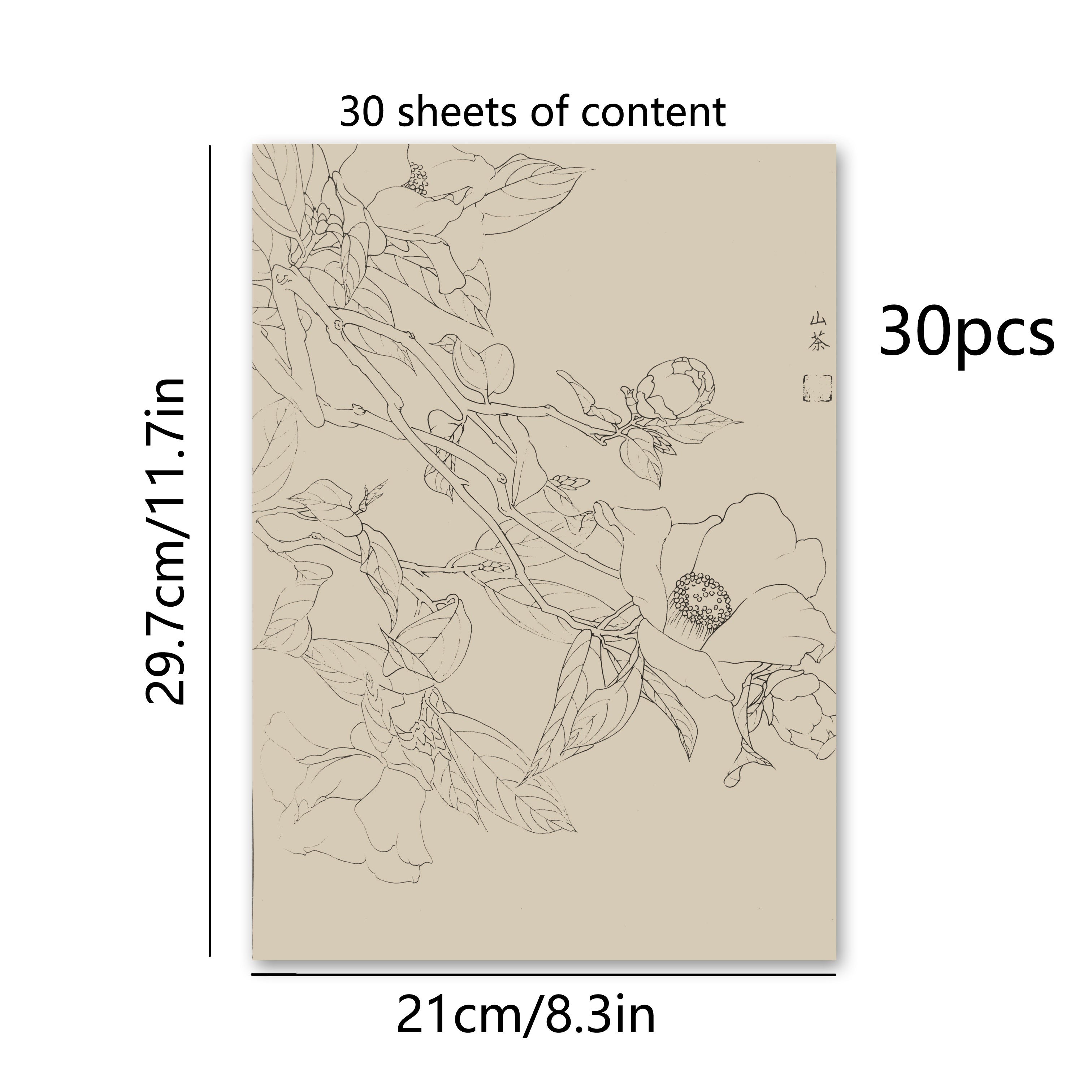 30pcs Traditional Chinese Painting Practice Paper - Authentic Xuan Paper for Floral &amp; Plant Sketching, Perfect for Artists to Master Ancient Chinese Painting Techniques, Painting Art Supplies