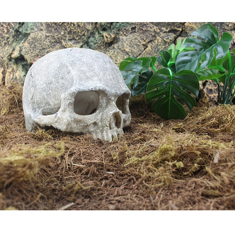 Aquarium Decor Accessories, Skull Skeleton Statue, Lizard Hideout, Lizard Cave, Glass Container for Aquarium, Reptile Hideaway Cave, Suitable for Aquarium Fish Tank Landscape Decoration Reptile Habita - Daisan Mart