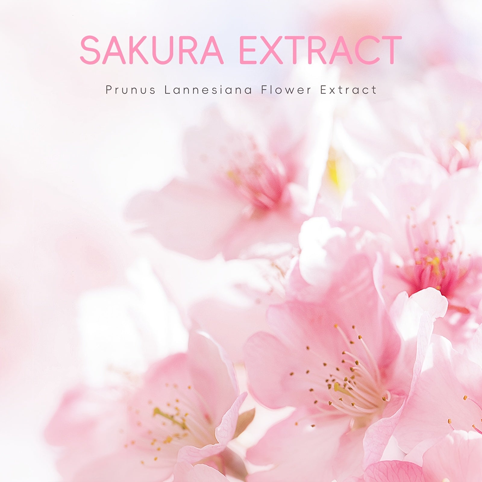 LAIKOU Sakura Cleanser Skin Care Set 3pcs, Face Wash 50g, Serum 0.57oz, Moisturizer 30g, Even Skin Tone, Smooth Fine Lines