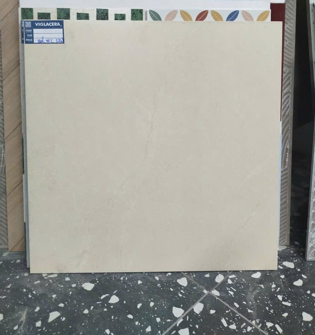 ASD6642 SM 60X60CM Viglacera Matte