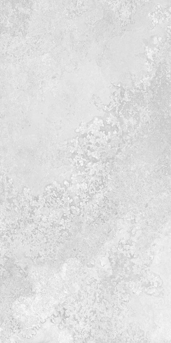 Matte Crystalline Ceramic Tile 400x800 Code C48CD702