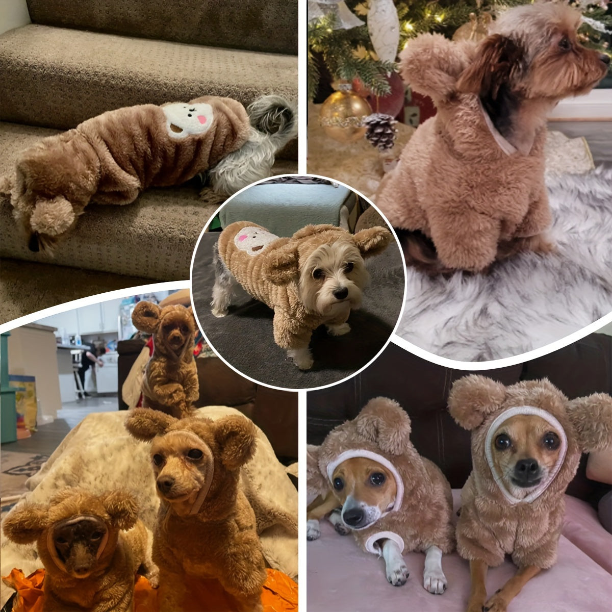 Pet Warm Teddy Bear Costume, Dog & Cat Pet Costumes - Daisan Mart