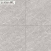 800x800mm Matt smooth tile 22W.880.8051