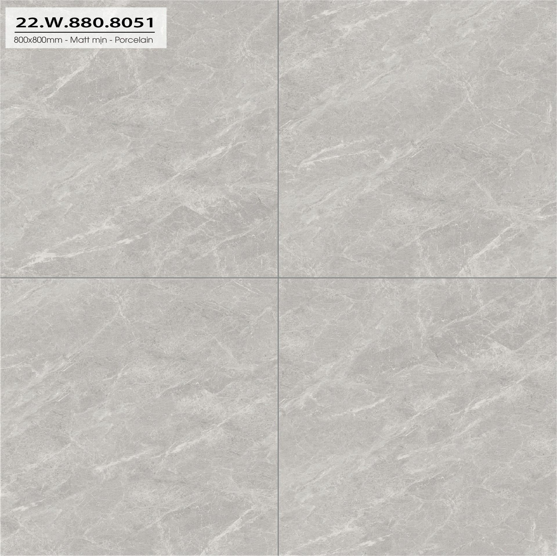 800x800mm Matt smooth tile 22W.880.8051