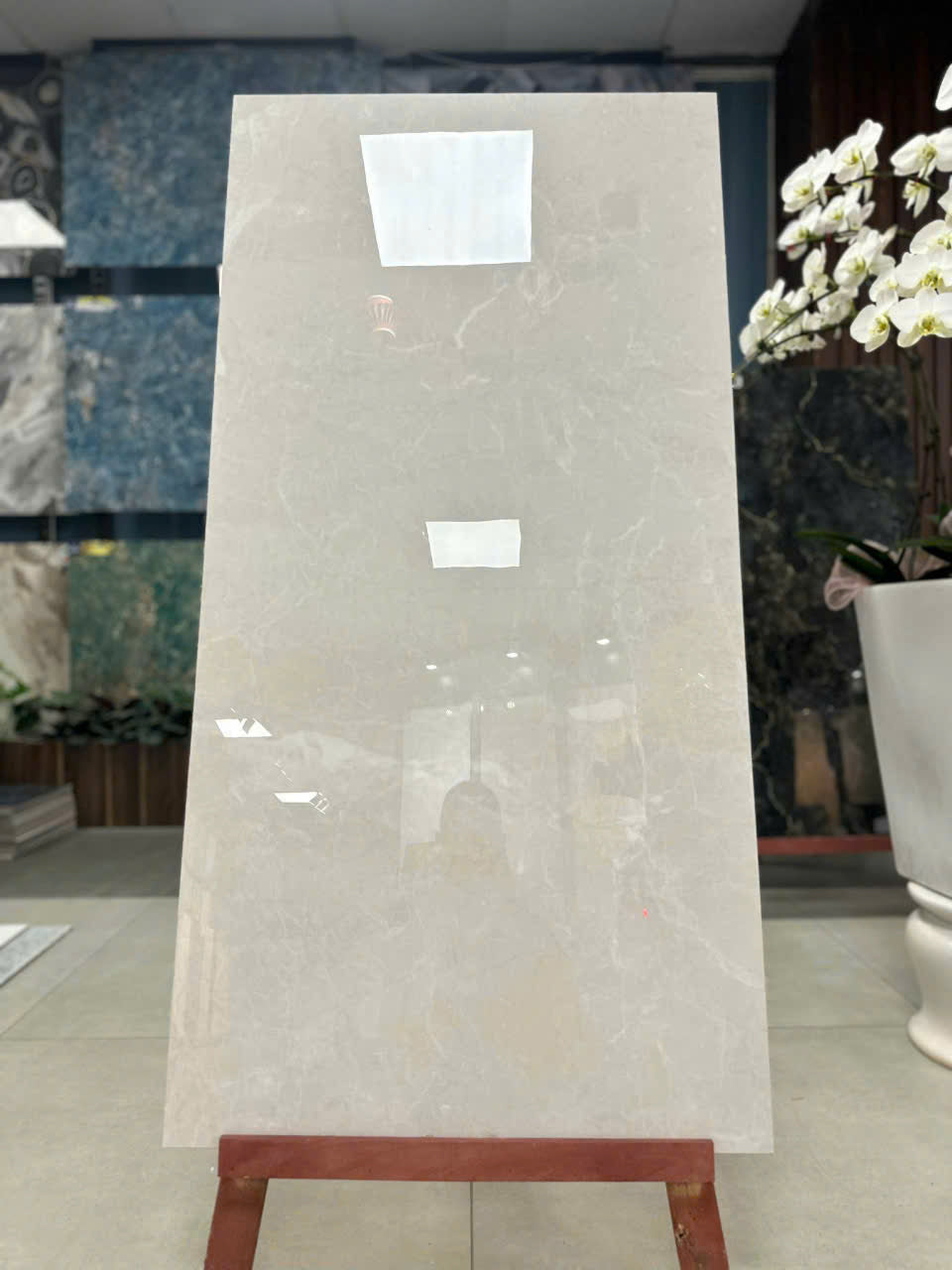 Gạch 60x120 men bóng cao cấp SA860 - Daisan Mart