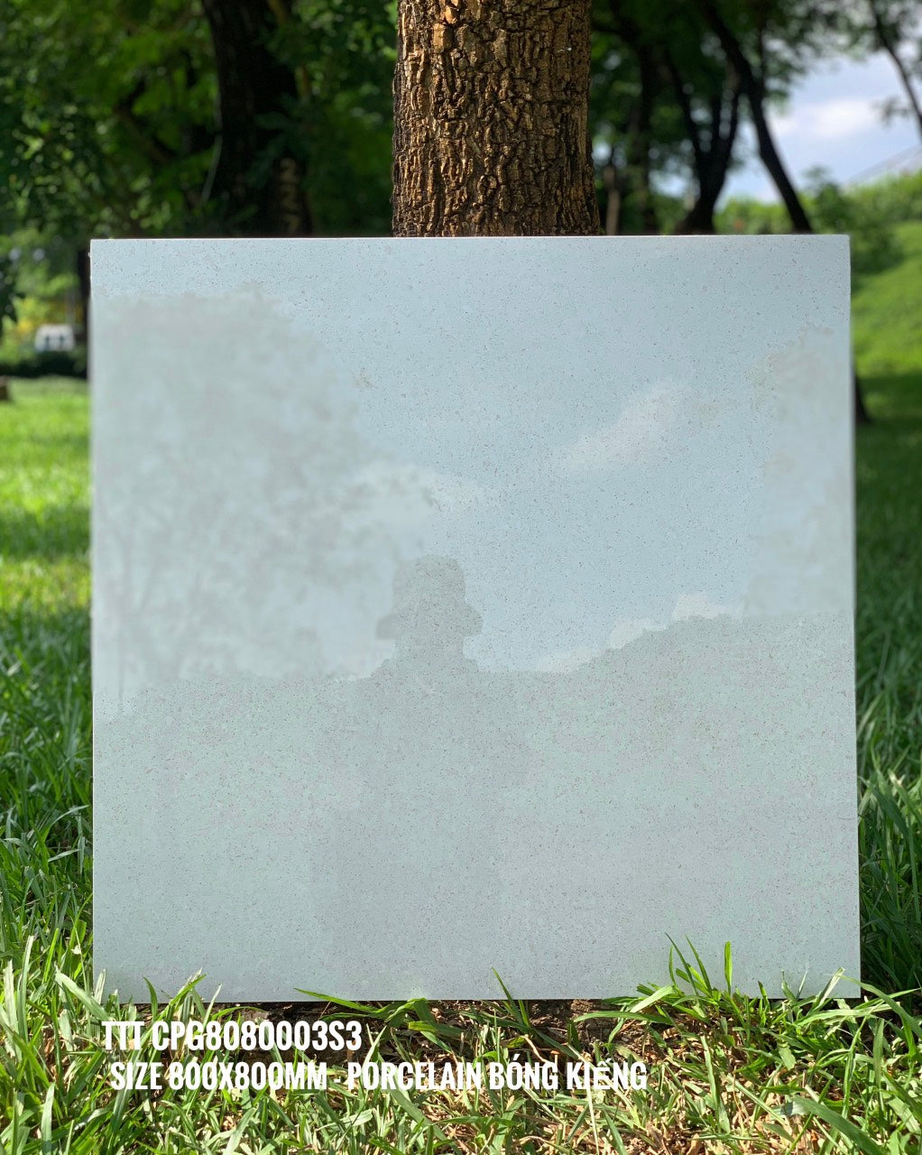 Gạch 30x30 trắng bóng - Daisan Mart