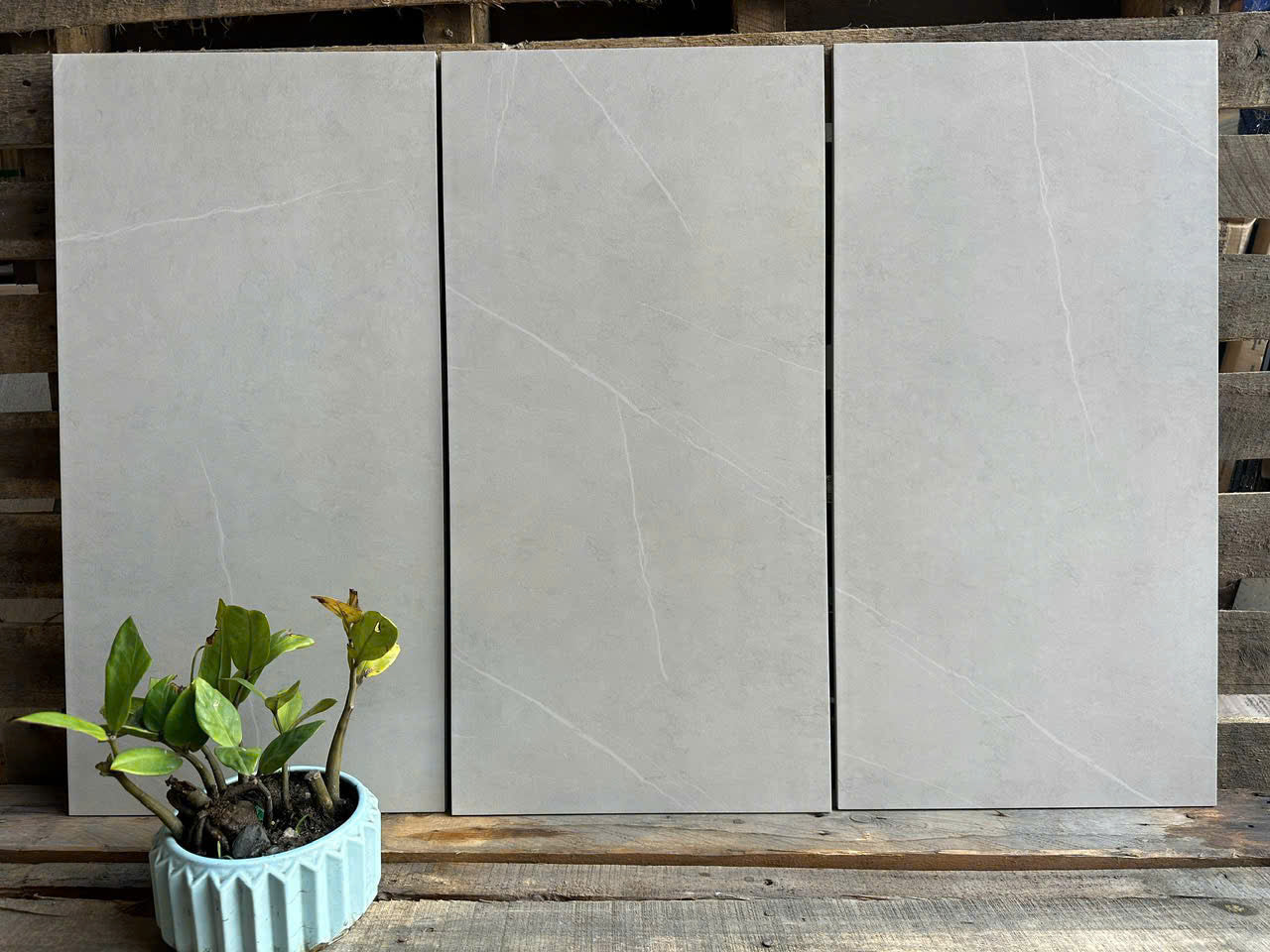 Gạch 30x60 mã Thịnh Vượng F02 - Daisan Mart